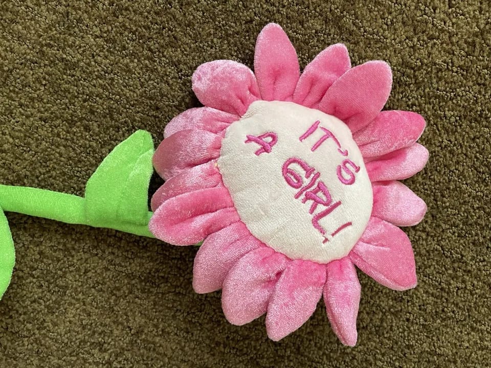 Cuddles Plush Daisy Sunflower Soft Toy Its a Girl