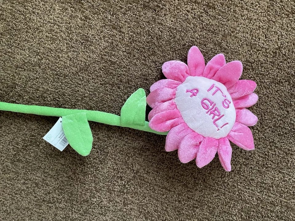 Cuddles Plush Daisy Sunflower Soft Toy Its a Girl