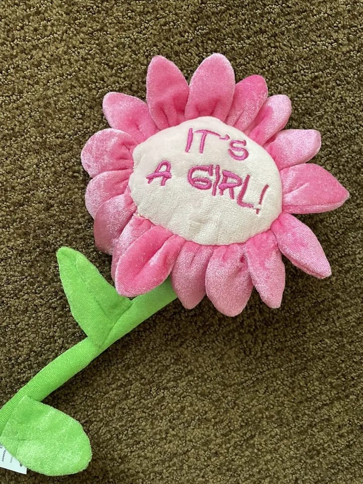 Cuddles Plush Daisy Sunflower Soft Toy Its a Girl