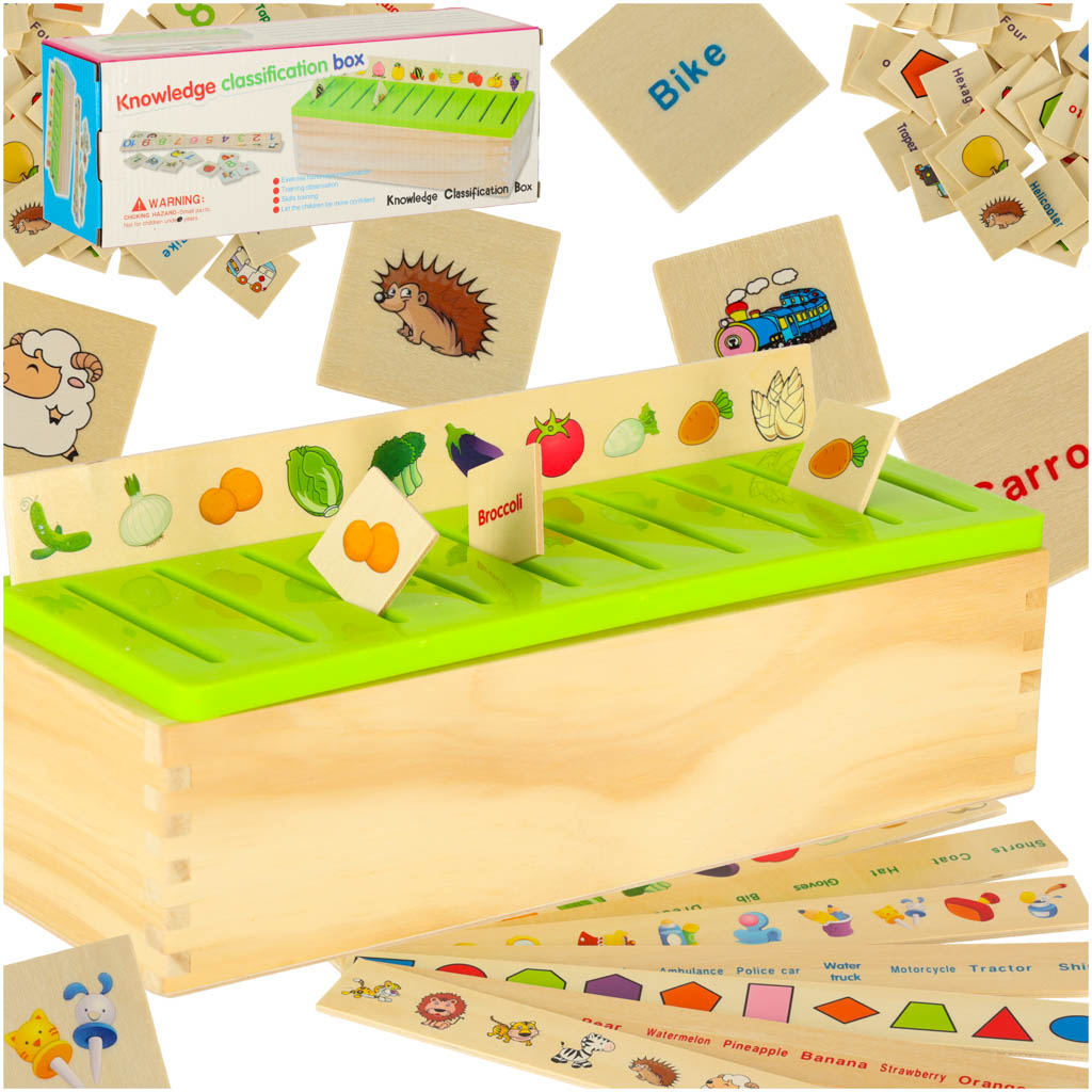 Montessori Sorting Knowledge Classification Box (Wooden)